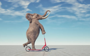 Elepahnt riding a scooter